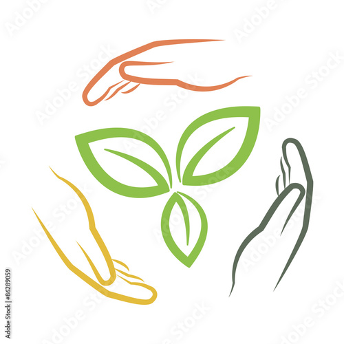 hands around green leaves