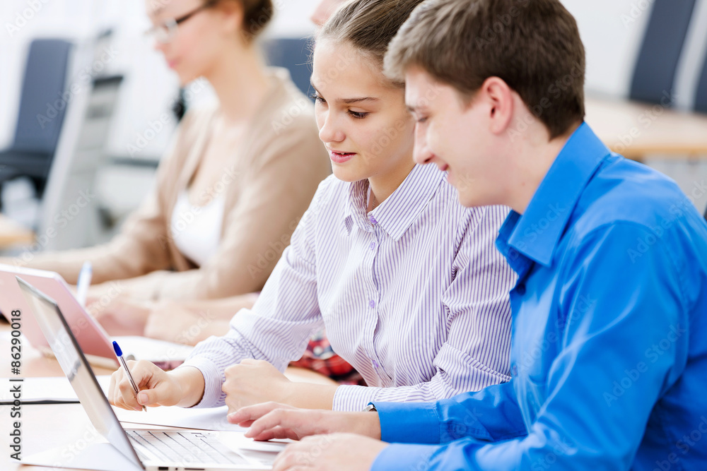 Fototapeta premium Students at lesson