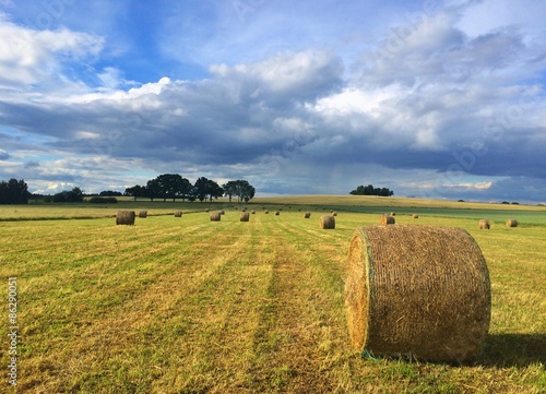 Harvest time - summer landscape after heavy storm
