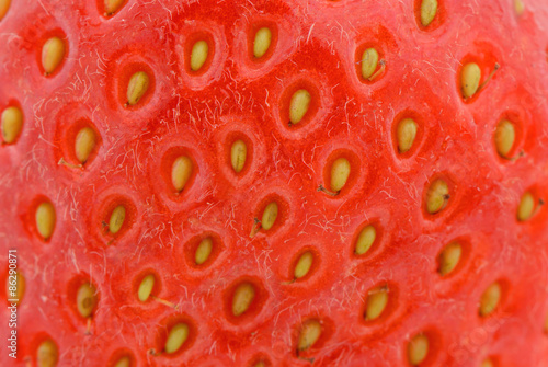Erdbeere Nahaufnahme