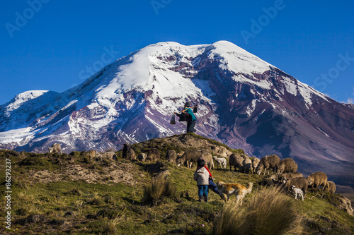 Chimborazo volcano and sheep © ecuadorquerido