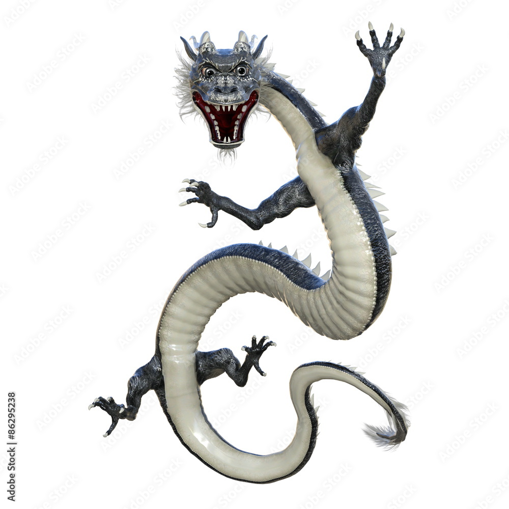 Obraz premium ドラゴン