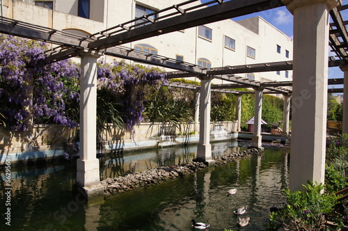 bassin dans les jardins du Palais Saint-Antoine 