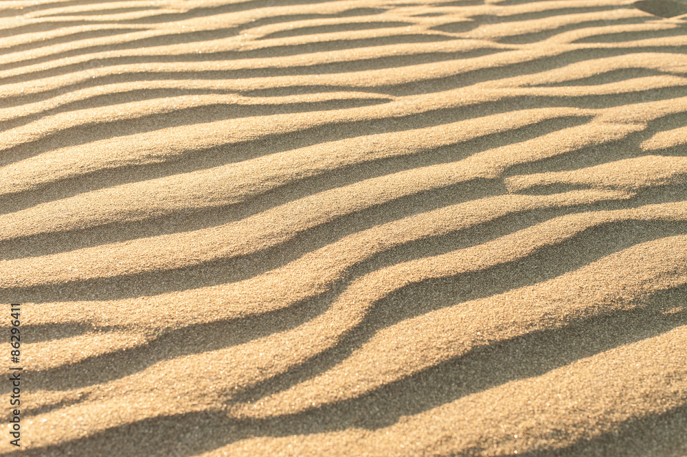 Fototapeta premium Sandy waves