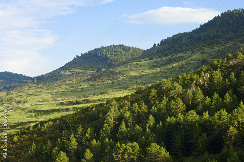 landscape landscape