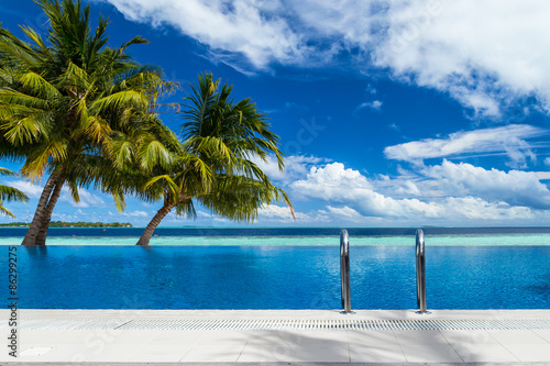 infinity pool with coco palms in front of the ocean