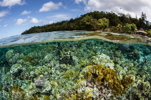 Healthy Reef in Melanesia