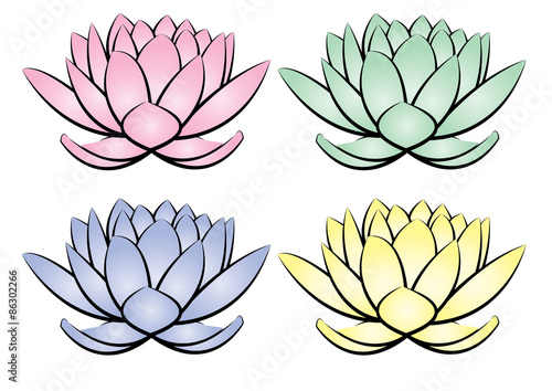 Lotus