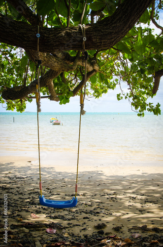 The beach there is a handmade swing photo