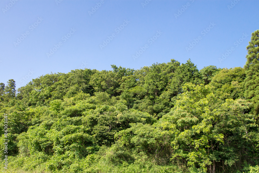 田園風景 田園風景