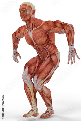 muscle medical man going up