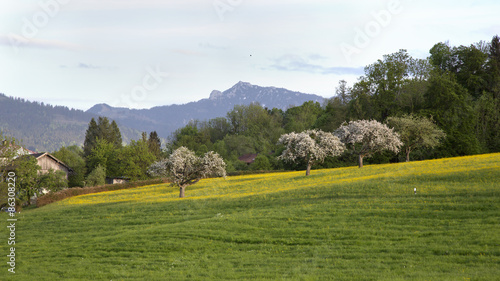 Wallpaper Mural Frühling in Oberbayern Torontodigital.ca