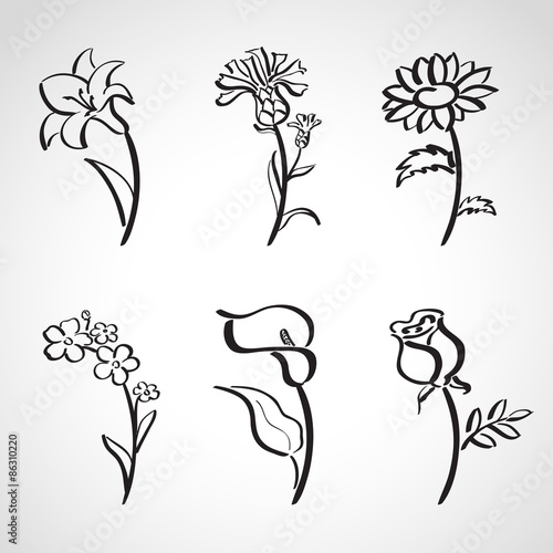 Ink style  sketch set - summer flowers