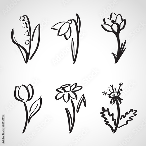 Ink style  sketch set - spring flowers