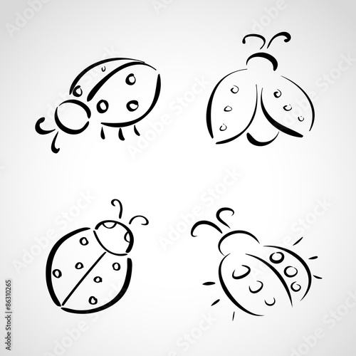 Sketch icons - ladybug