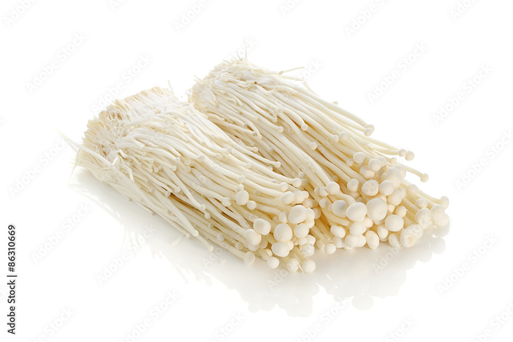 Enoki mushroom, Golden needle mushroom isolated in white background Enoki mushroom, Golden needle mushroom isolated in white background