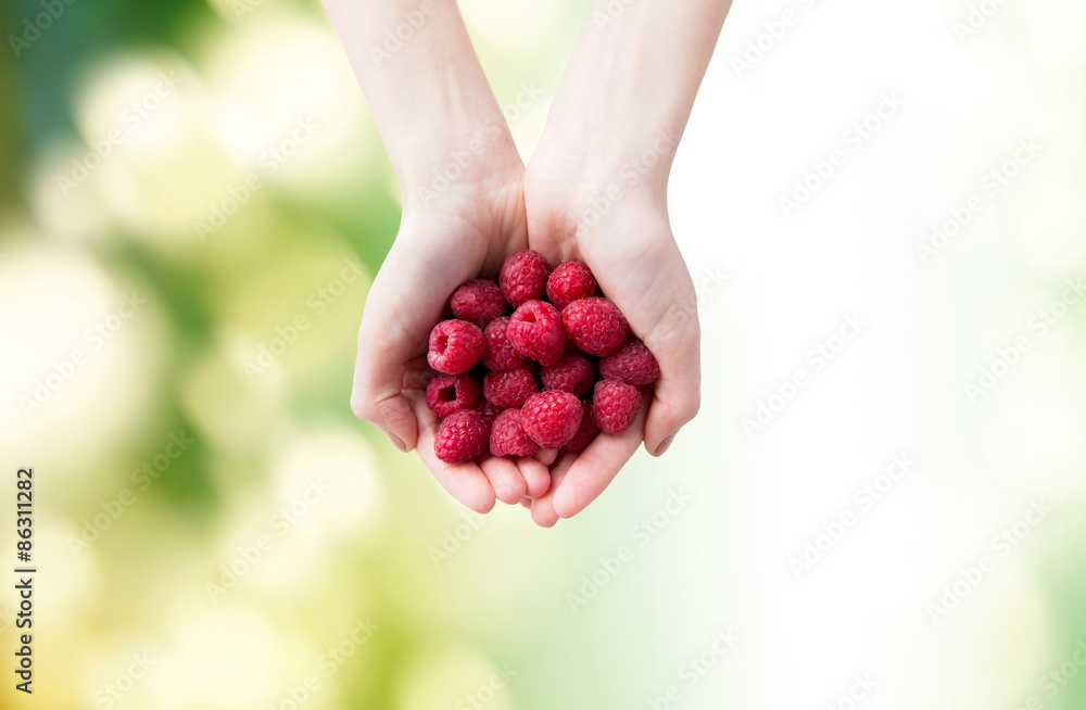 close up of woman hands holding raspberries close up of woman hands holding raspberries