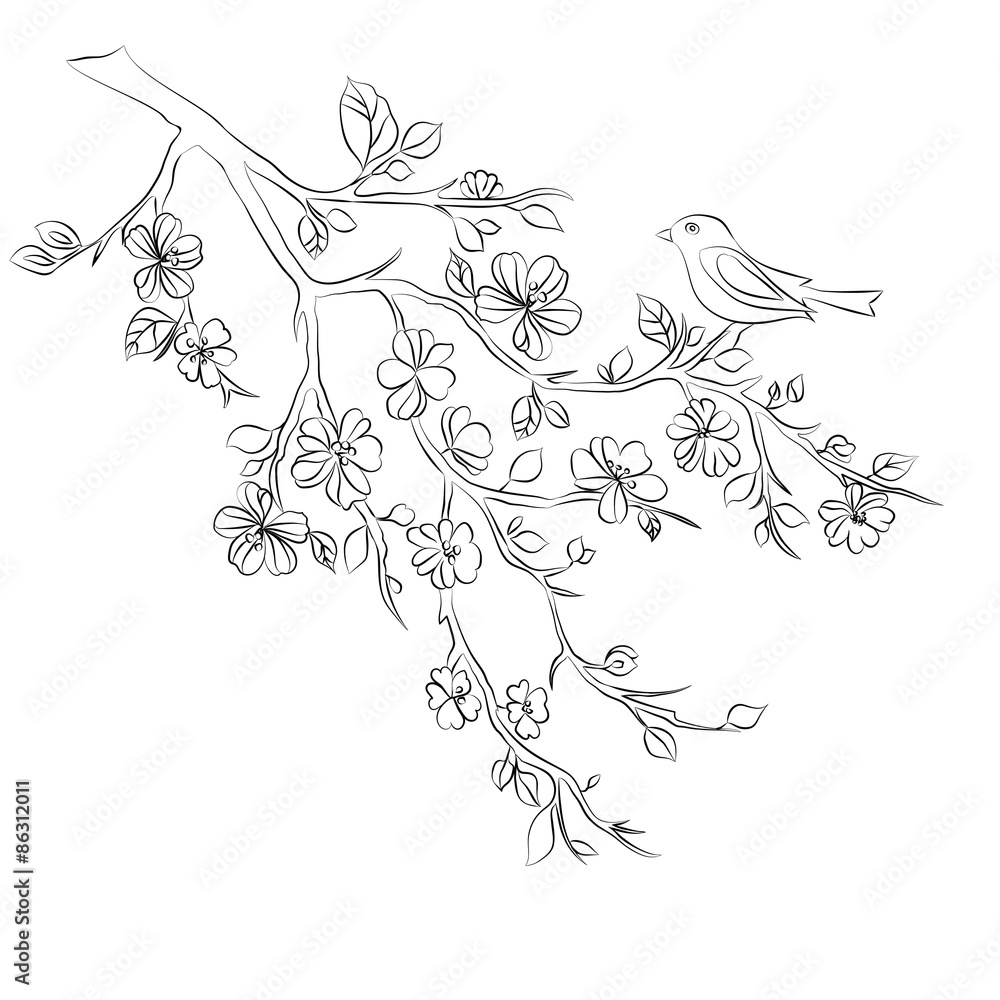 twig cherry blossoms and bird twig cherry blossoms and bird
