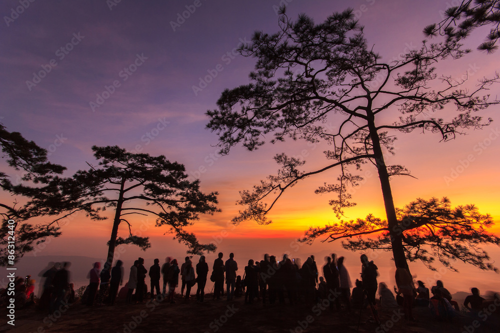 Phu Kradueng National Park at Sunrise in Loei Province of thailand