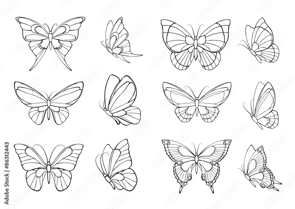 Naklejka Zestaw ręcznie rysowanych motyli