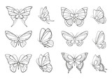 Set of hand drawn  butterflies