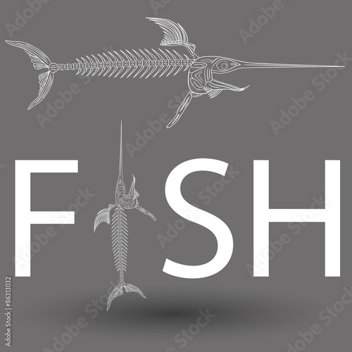 Fish skeleton