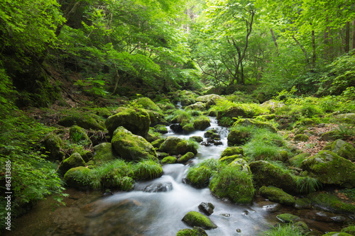 苔に覆われた緑豊かな渓流（東京奥多摩の海澤の三滝）