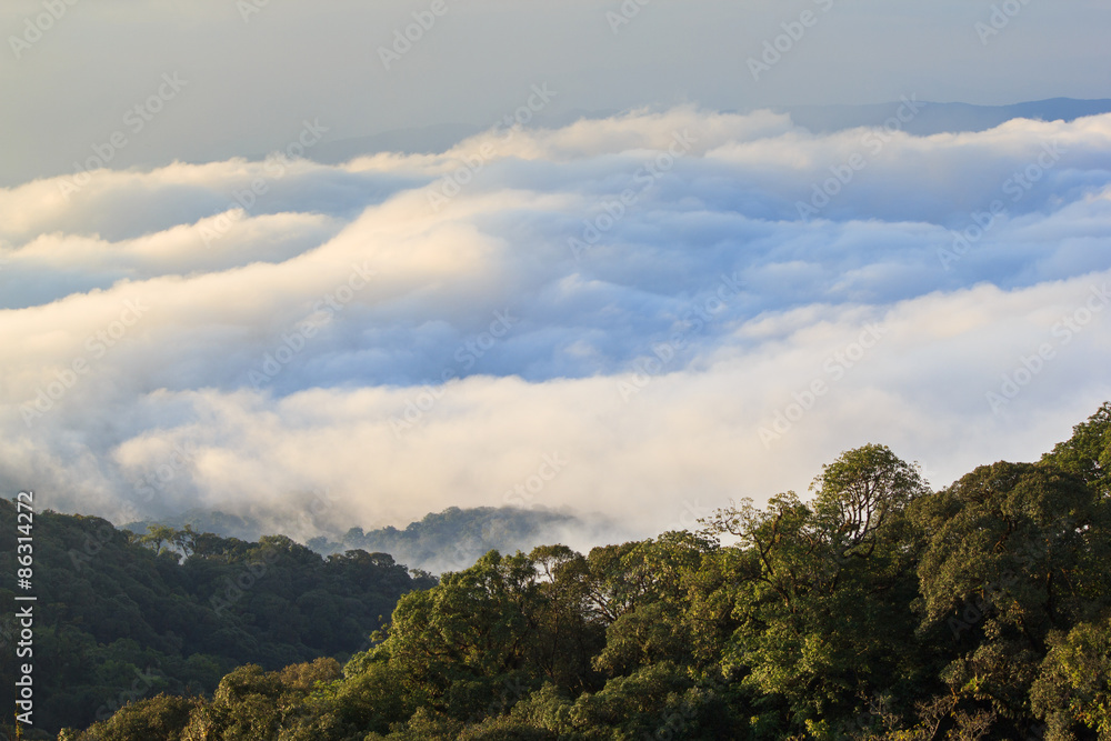 Morning View of Inthanon Mountain, Chiang Mai, Thailand
