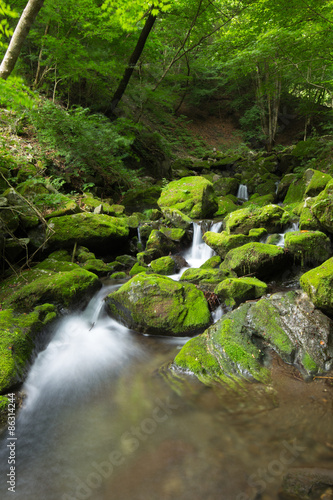 渓流と新緑（東京奥多摩の海澤の三滝）