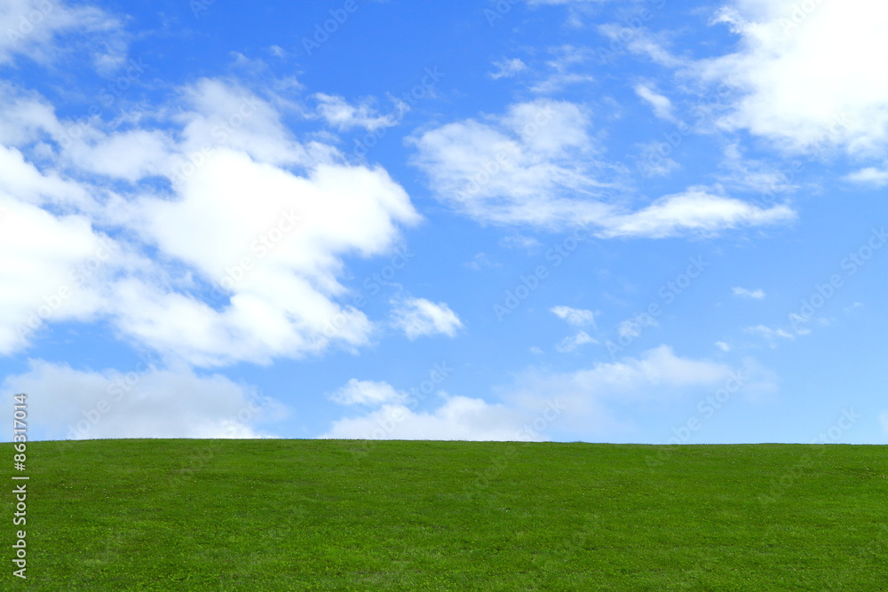 青空と草原　Green field under blue sky