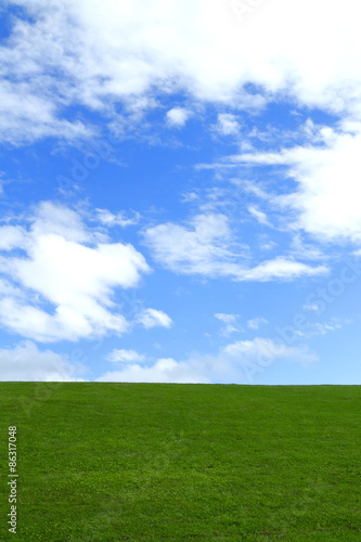                   Green field under blue sky