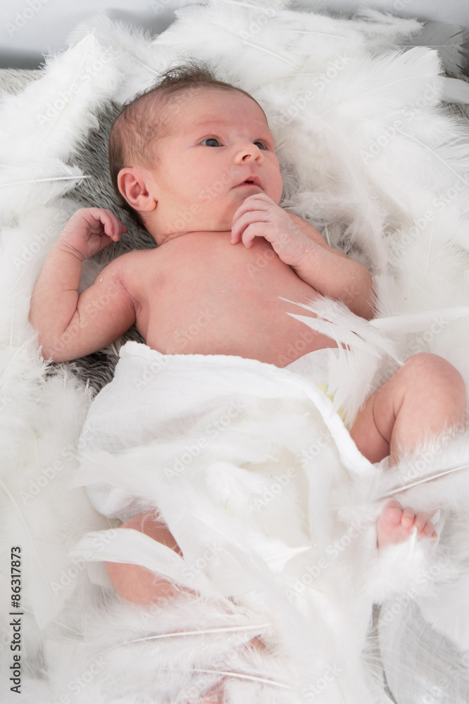 Newborn baby in white cotton and feathers Newborn baby in white cotton and feathers
