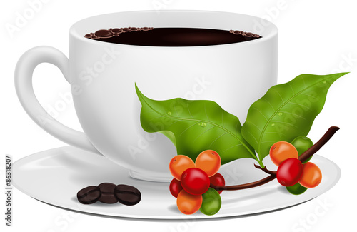 Coffee cup with roasted beans and fresh green coffee branch.