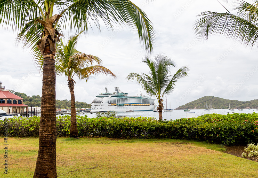 Cruise Ship Beyond Palm Trees in Bay Cruise Ship Beyond Palm Trees in Bay