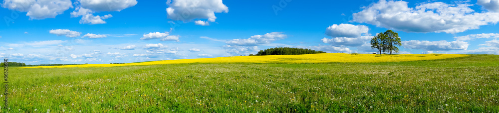 Beautiful summer landscape Beautiful summer landscape