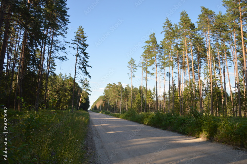 Obraz premium Весна на брянщине