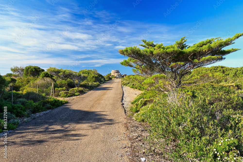 Sardinia - small road in San Pietro isle Sardinia - small road in San Pietro isle