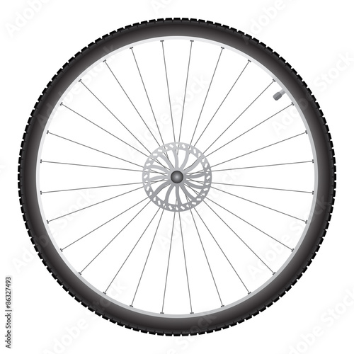 Bicycle wheel, vector