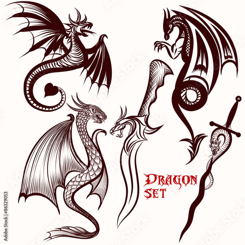 Dragon vector set for tattoo design photo