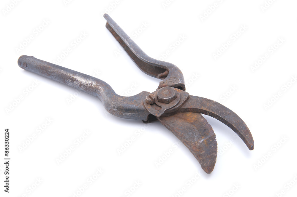 Old rusty garden pruner on the white background.. Old rusty garden pruner on the white background..