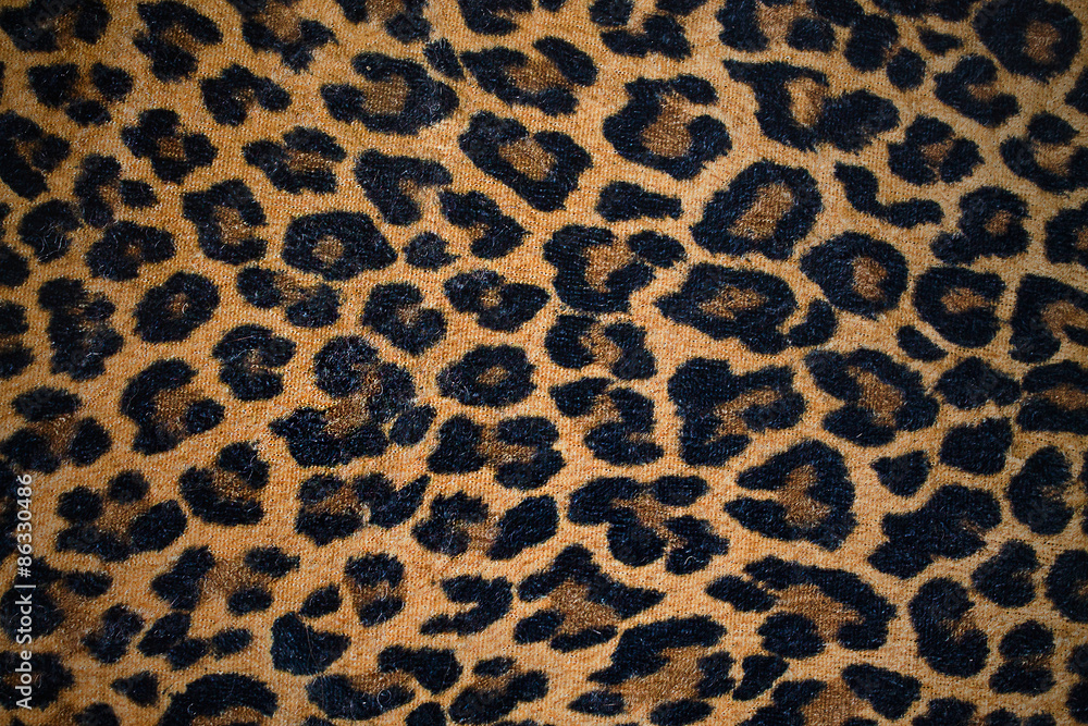 leopard background closeup in horizontal position leopard background closeup in horizontal position