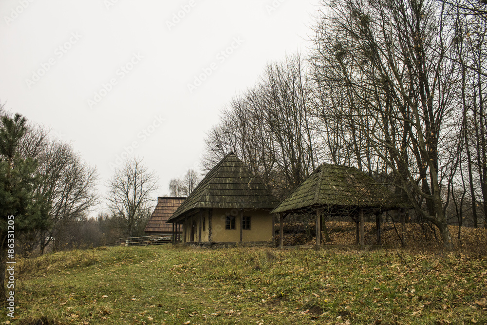 Beautiful wooden house