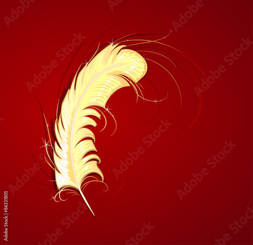gold feather