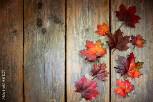 Autumn background