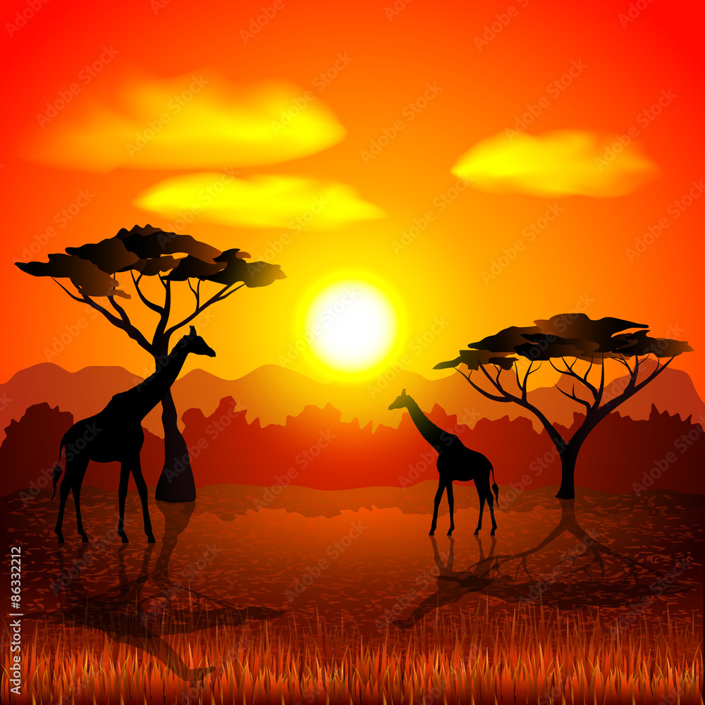 Sunset in african savannah vector background