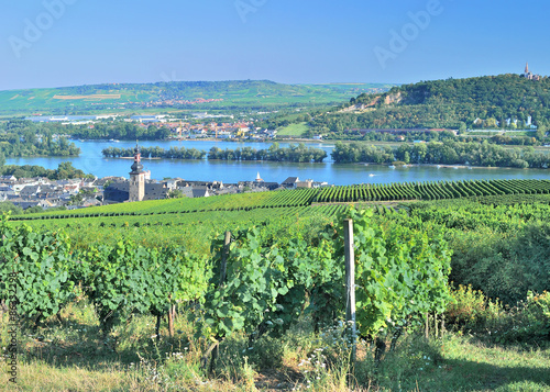 der berühmte Weinort Rüdesheim am Rhein im Rheingau,Deutschland