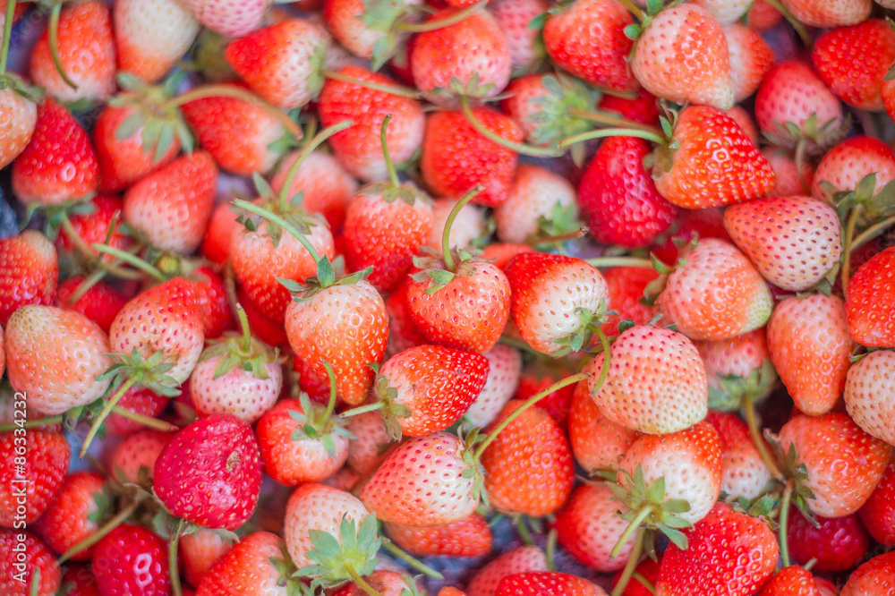 Strawberry - full frame Strawberry - full frame