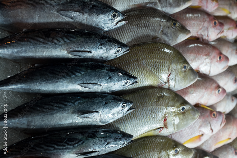 pesce