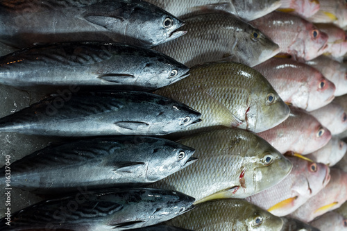 pesce