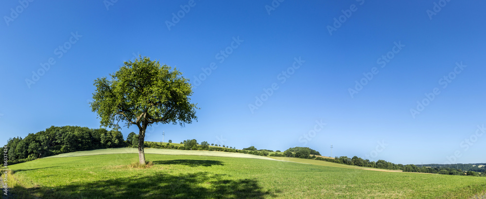 Fototapeta wiejski krajobraz z polami i błękitnym niebem